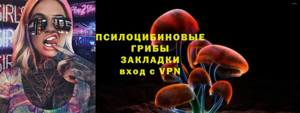 таблы Белокуриха