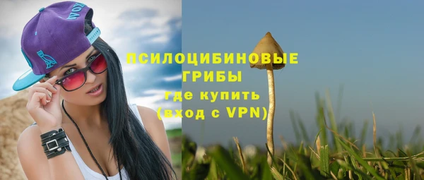 таблы Белокуриха