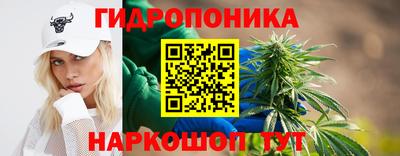 Альфа ПВП Канаш