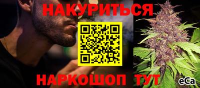 Альфа ПВП Канаш