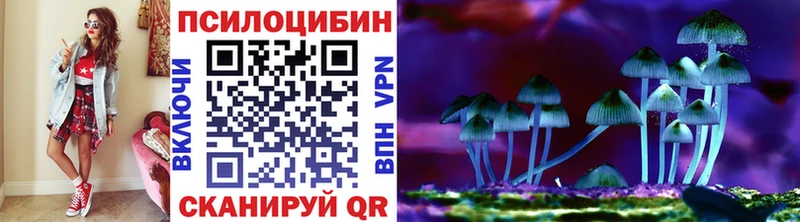 Псилоцибиновые грибы GOLDEN TEACHER Кунгур