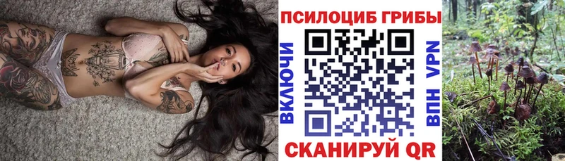 Псилоцибиновые грибы Psilocybe  наркошоп  Кунгур 