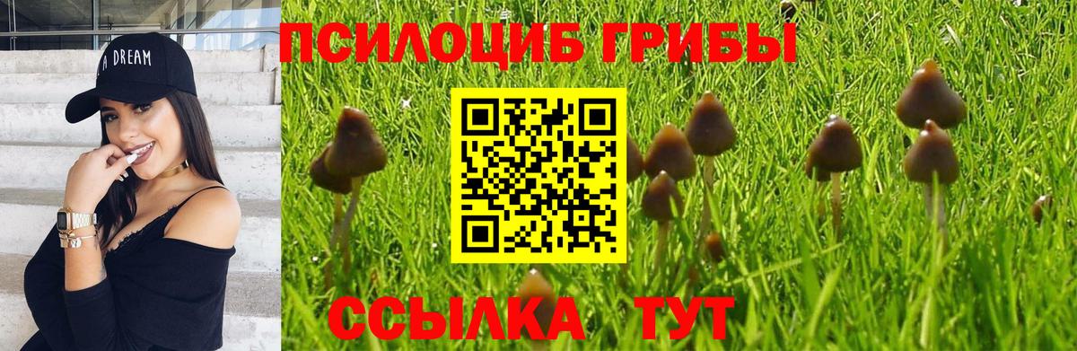 Галлюциногенные грибы GOLDEN TEACHER Кунгур